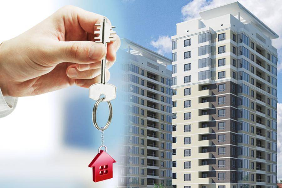 Покупка квартиры в строящемся доме у застройщика в 2020 году: пошаговая инструкция
